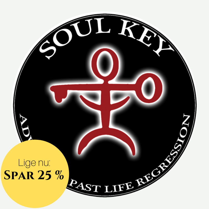 lige nu spar 25 procent på soulkey