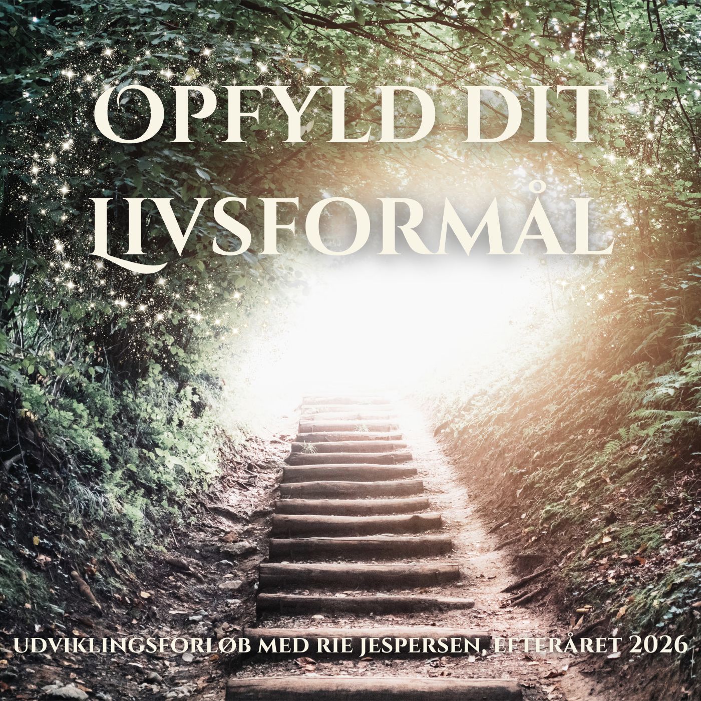 Opfyld dit Livsformål - Udviklingsforløb i efteråret 2026 (rate 1 af 3) (fysisk fremmøde)